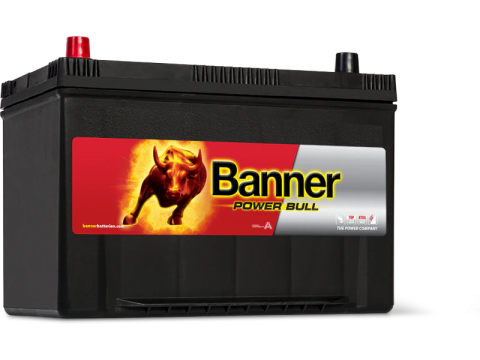 Banner 250 334 12v 95Ah 680CCA Car Battery P9505 250 334 Banner 250 334 12v 95Ah 680CCA Car Battery P9505 250 334
