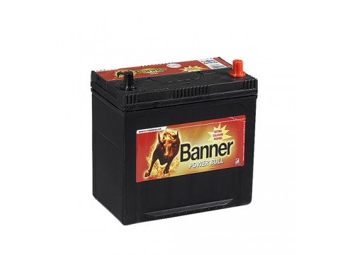Banner 249 12v 95Ah 720CCA Car Battery P9504 335 