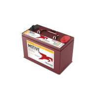 TROJAN  31AES 12V 31GEL DEEP CYCLE AES31 AGM BATTERY 