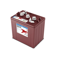 Trojan T105LPT 6v Deep CycleT105 Battery  T105RE