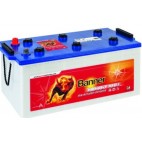 Banner 96801 12v 230Ah Deep Cycle 625 Battery