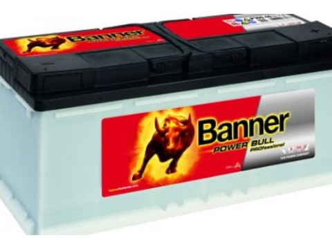 Banner 019 12v 100Ah 800CCA Car Battery P10040 019