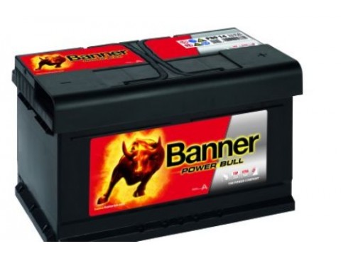 Banner 110 12v 80Ah 700CCA Car Battery P8014 110