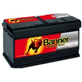 Banner 017 12v 88Ah 680CCA Car Battery P8820 017
