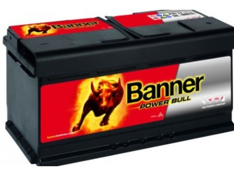 Banner 019 12v 95Ah 760CCA Car Battery P9533 019