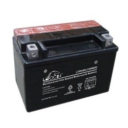 Leoch YTX9-BS